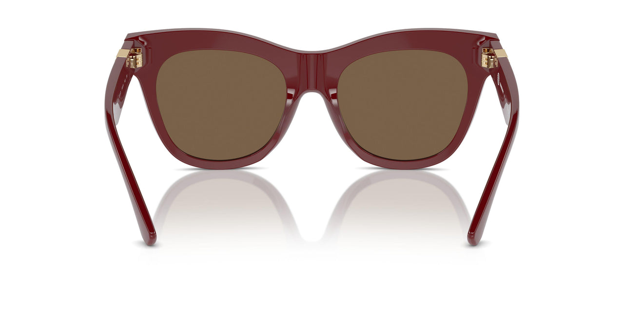 411973 - Red - Dark Brown