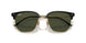 601/31 - Black - Green