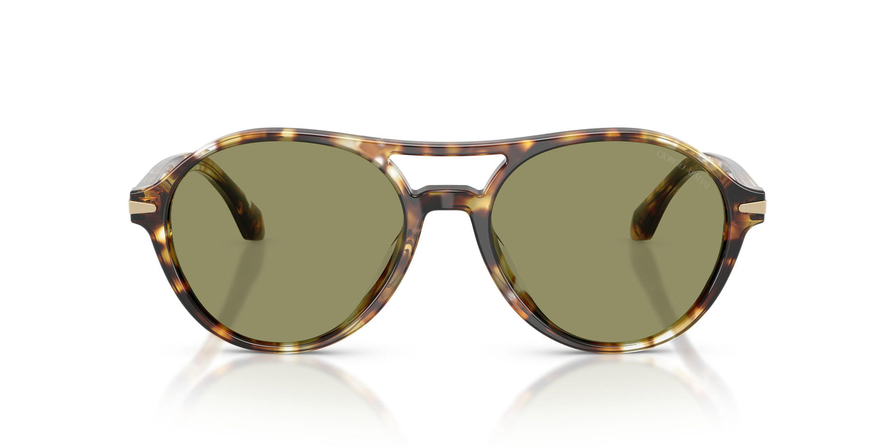 623214 - Tortoise - Green
