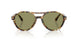 623214 - Tortoise - Green