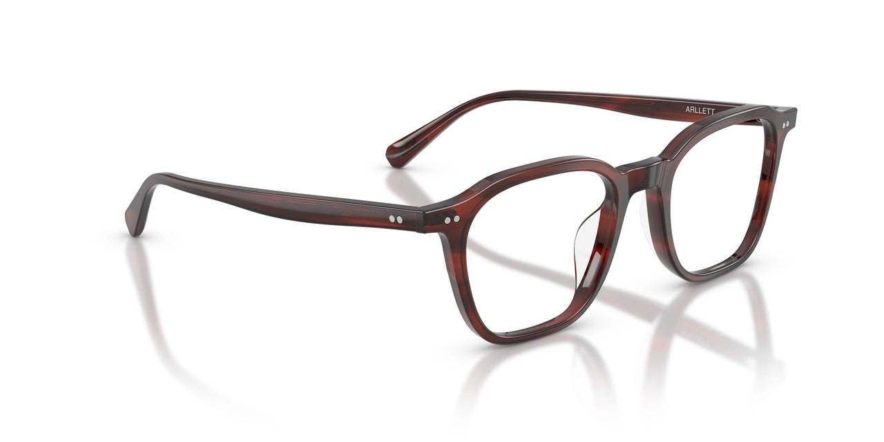 1818 - Morado Tortoise