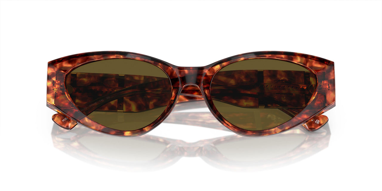 543773 - Tortoise - Dark Brown