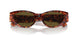 543773 - Tortoise - Dark Brown