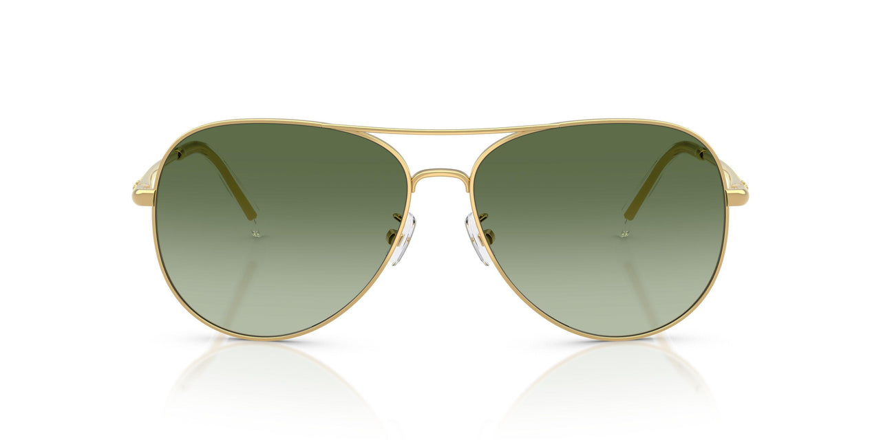 33438E - Yellow - Green Gradient