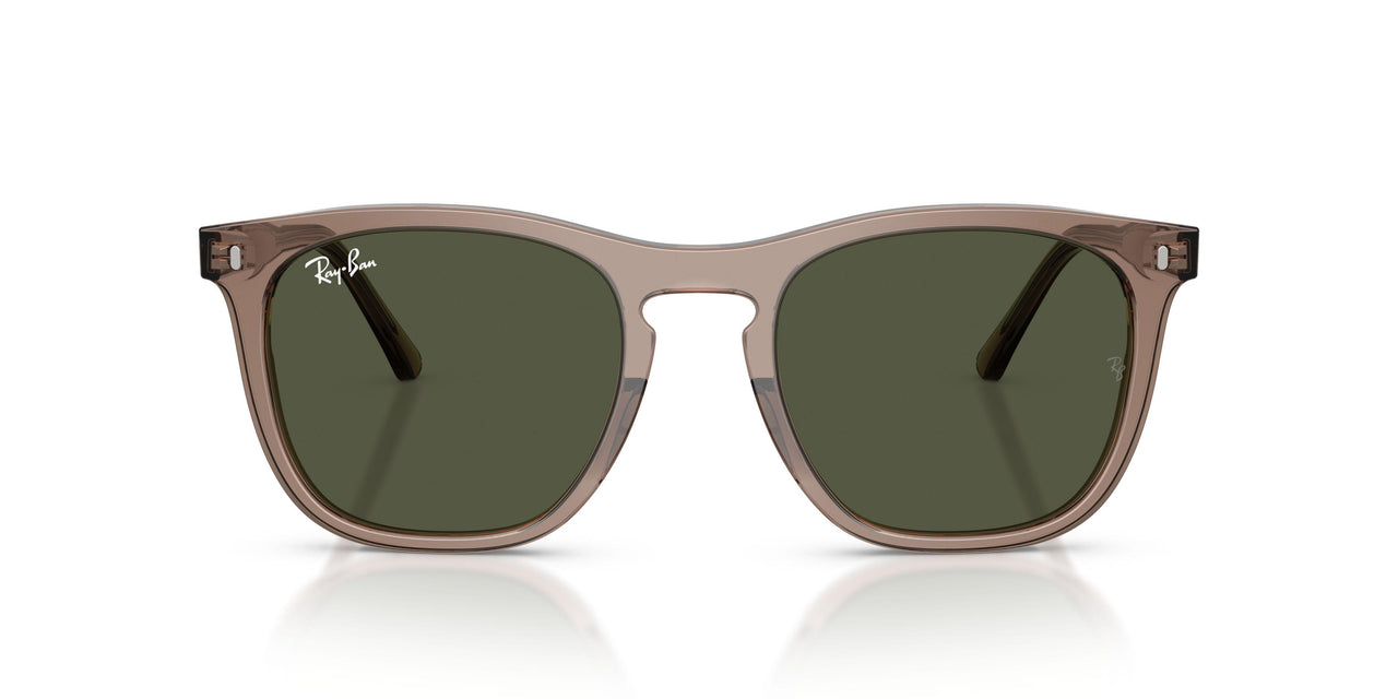 845731 - Brown - Blue