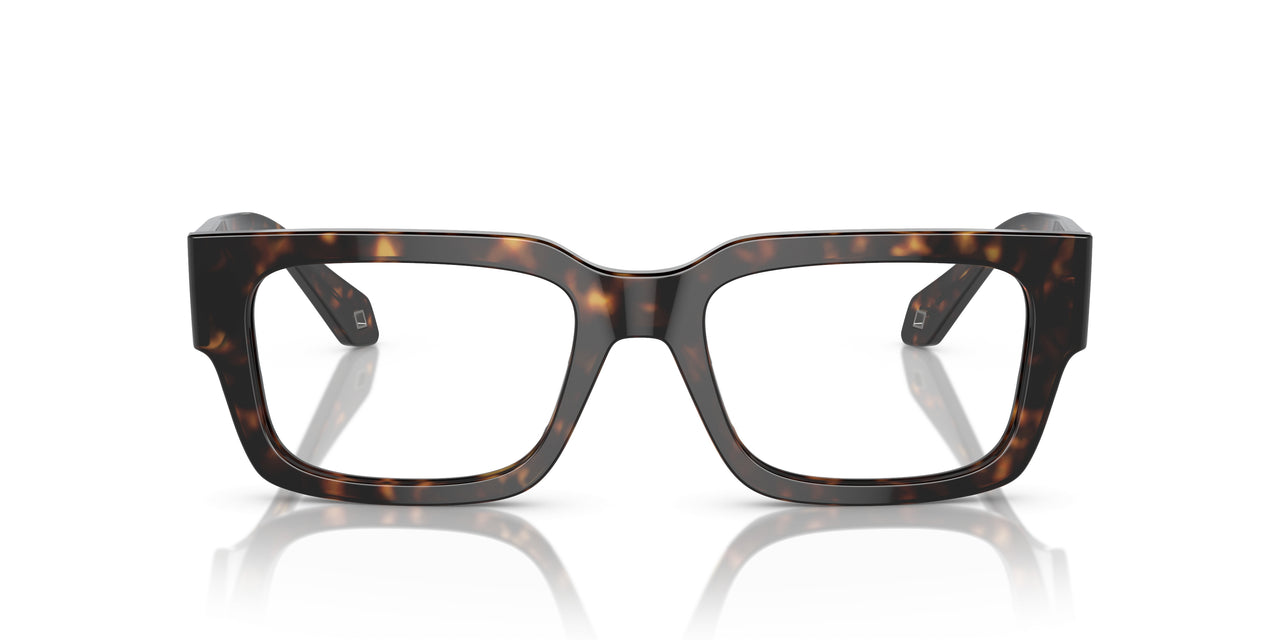 6124 - Tortoise