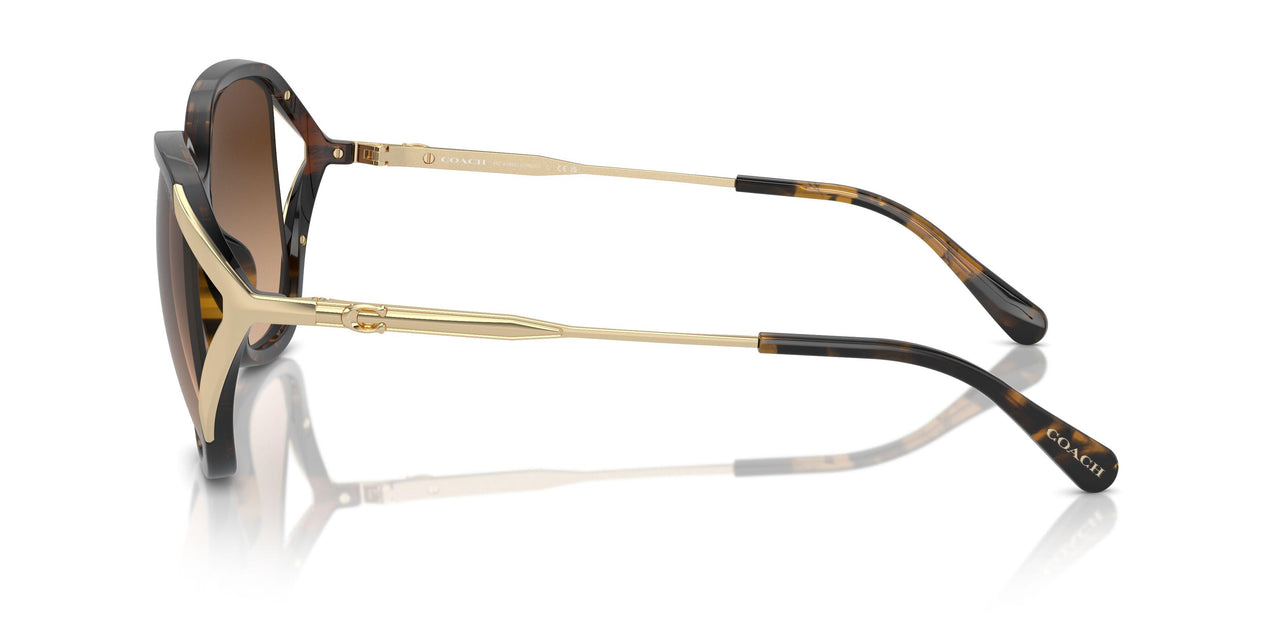 512074 - Tortoise - Brown Gradient
