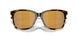 200917 - Tortoise - Gold Mirror