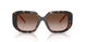 196413 - Tortoise - Gradient Brown
