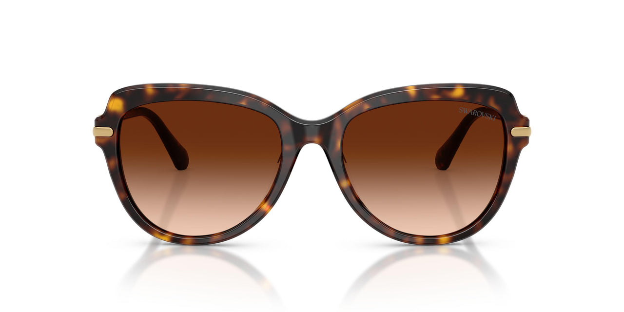 100274 - Tortoise - Gradient Brown