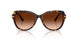 100274 - Tortoise - Gradient Brown