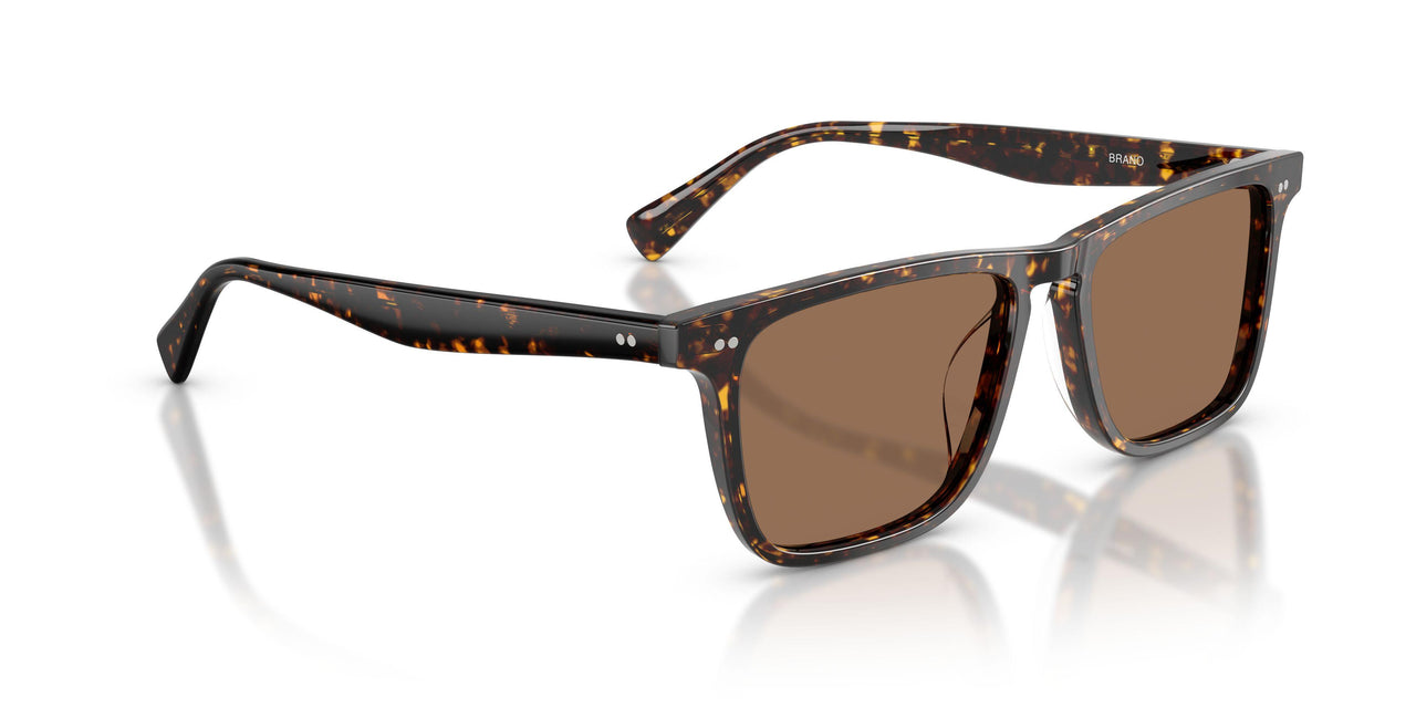174173 - Tortoise - Brown