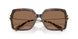 395173 - Tortoise - Brown Solid