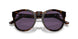 50031A - Tortoise - Purple