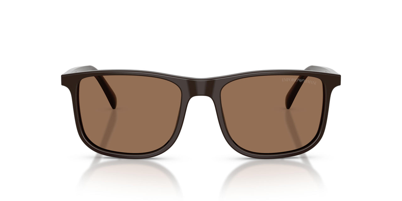 645273 - Brown - Dark Brown