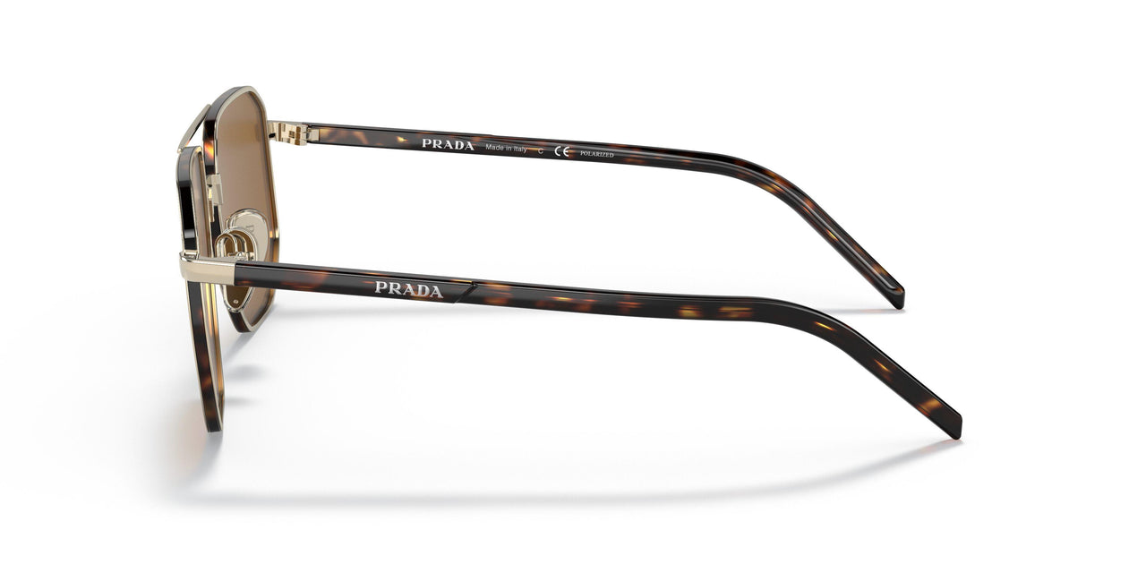 ZVN5Y1 - Gold - Polar Brown
