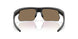 940030 - Black - Prizm 24k Polarized