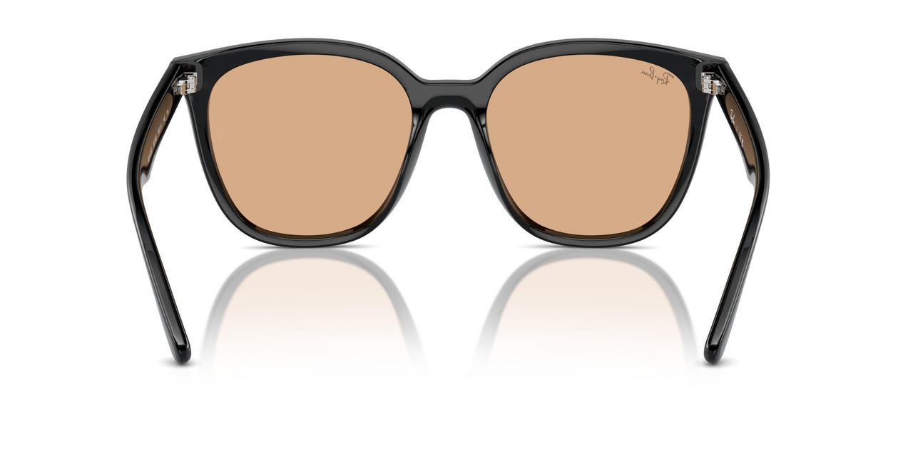 601/93 - Black - Brown