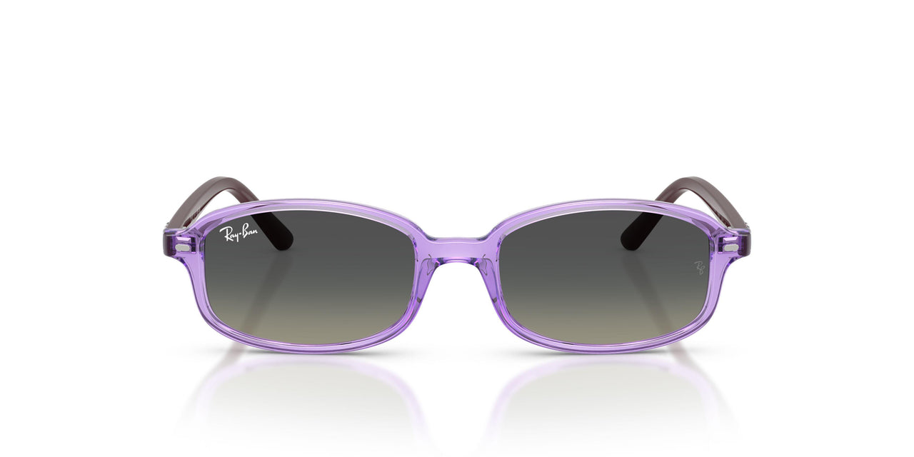 719911 - Violet - Gradient Grey