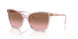 294214 - Pink - Pink Gradient Brown