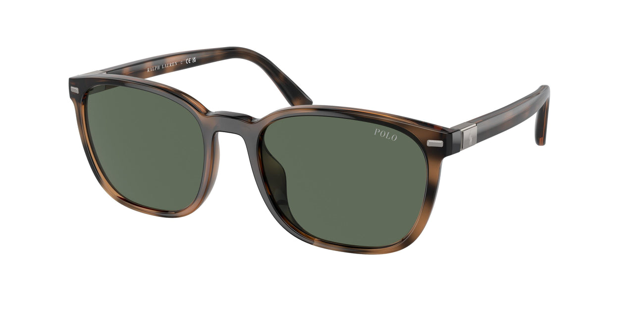 Polo 4208U Sunglasses