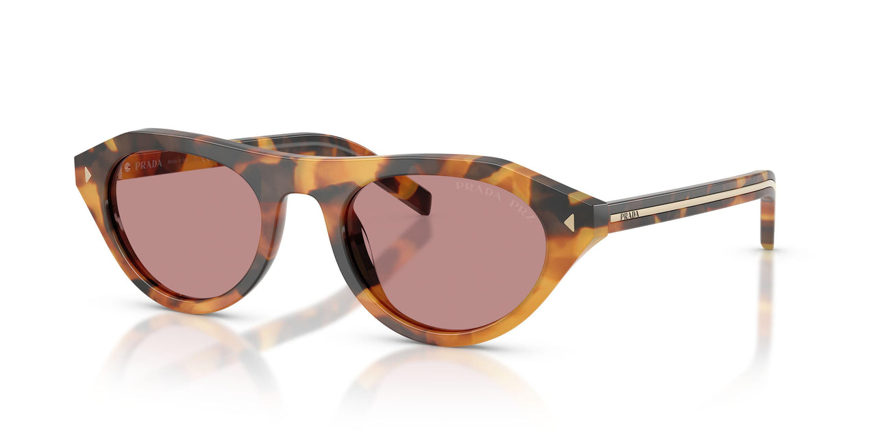 29C05Z - Tortoise - Dark Pink Polar