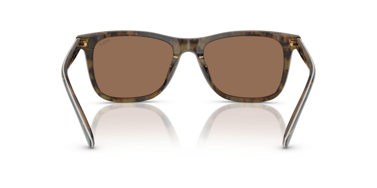 562573 - Multicolor - Dark Brown