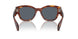 954/R5 - Brown - Blue