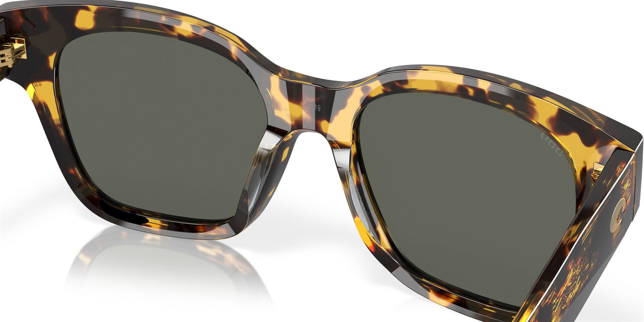 201603 - Tortoise - Gray