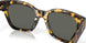 201603 - Tortoise - Gray
