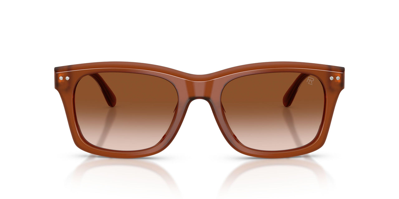 630613 - Brown - Gradient Brown