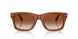 630613 - Brown - Gradient Brown