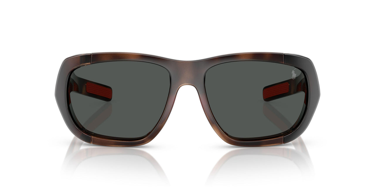 597487 - Tortoise - Dark Grey