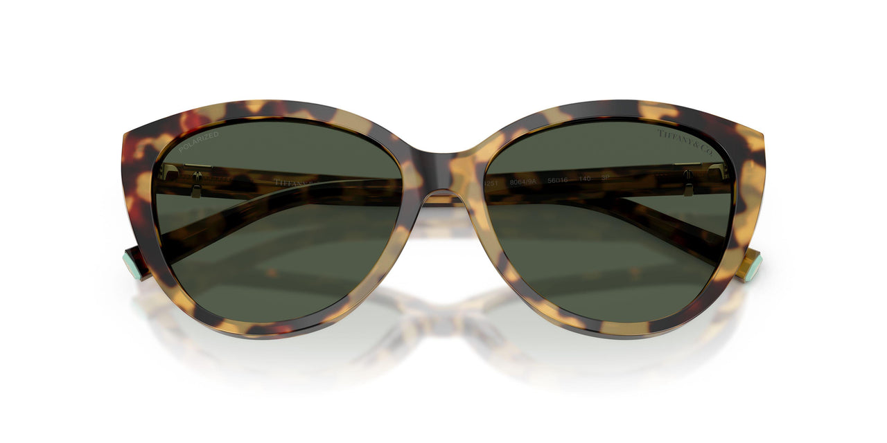 80649A - Tortoise - Polar Green
