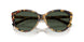 80649A - Tortoise - Polar Green