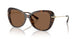 30063G - Tortoise - Dark Brown Solid