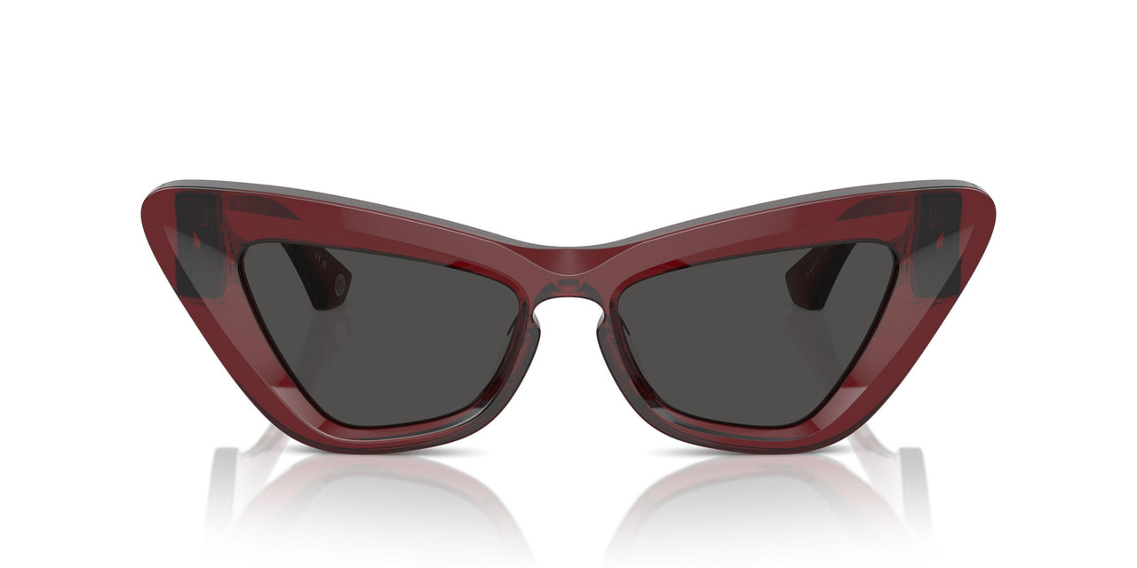 412887 - Red - Dark Grey