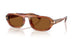 403973 - Brown - Amber