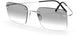 7205 - Silver-Grey Spaceship - special glazing - Tinted - granit 25-0%