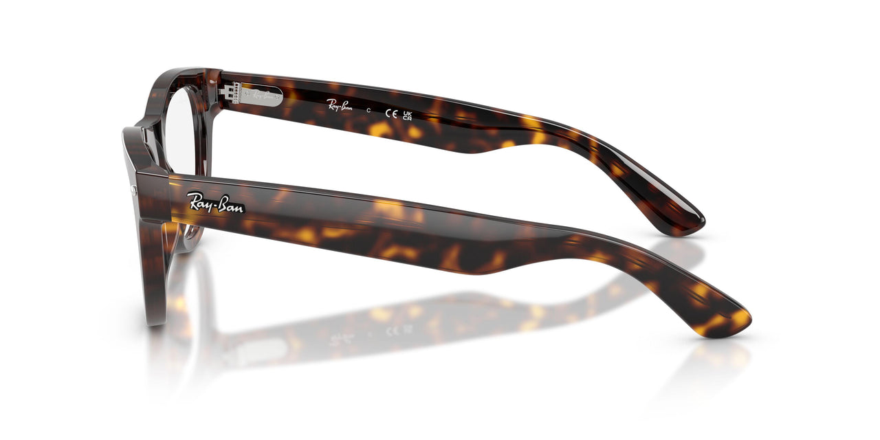 2012 - Tortoise - Clear