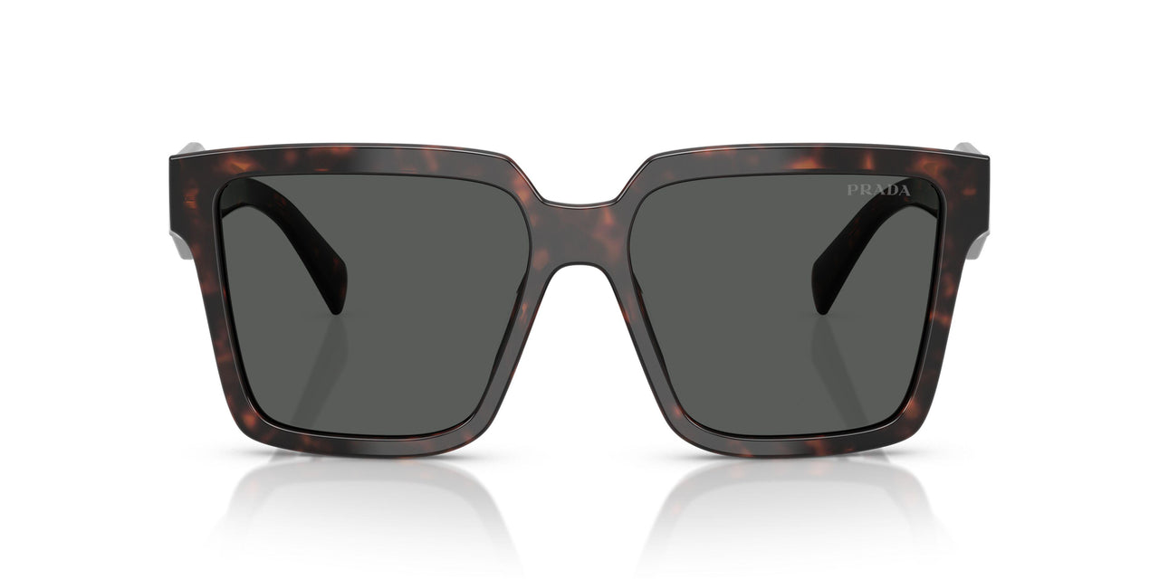 17N40L - Tortoise - Dark Grey