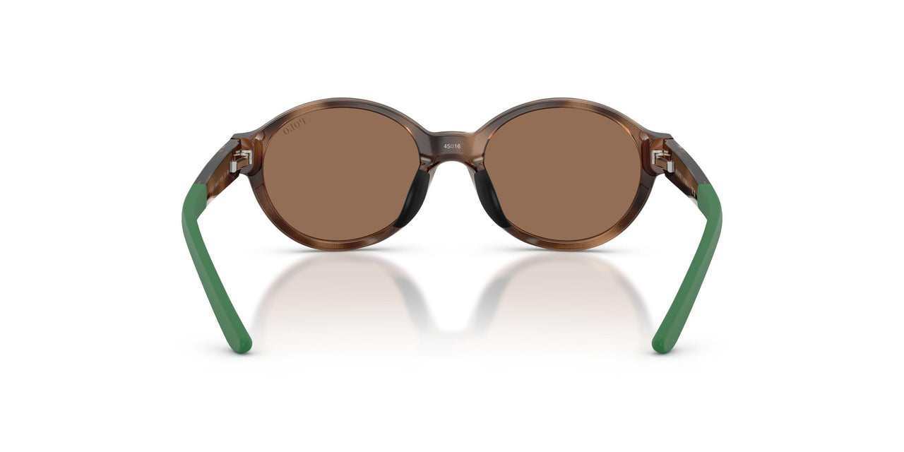 500373 - Tortoise - Dark Brown
