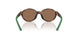 500373 - Tortoise - Dark Brown