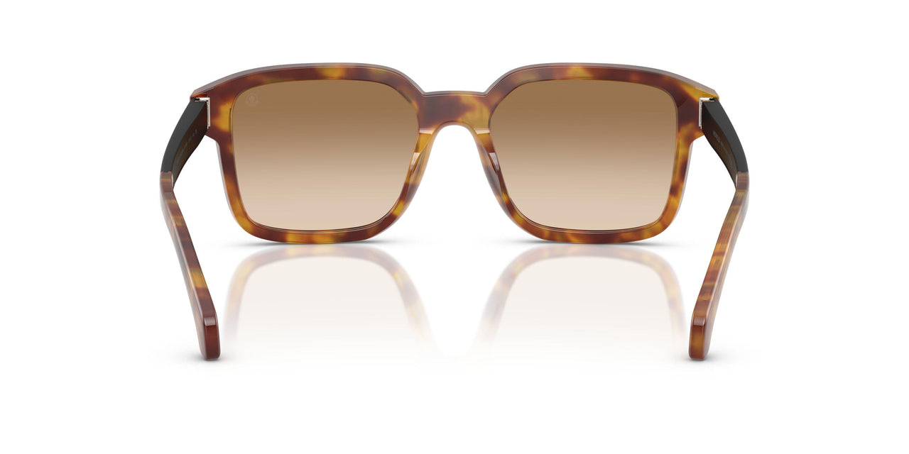 301189 - Tortoise - Light Brown Gradient Brown