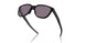 925001 - Black - Prizm Grey