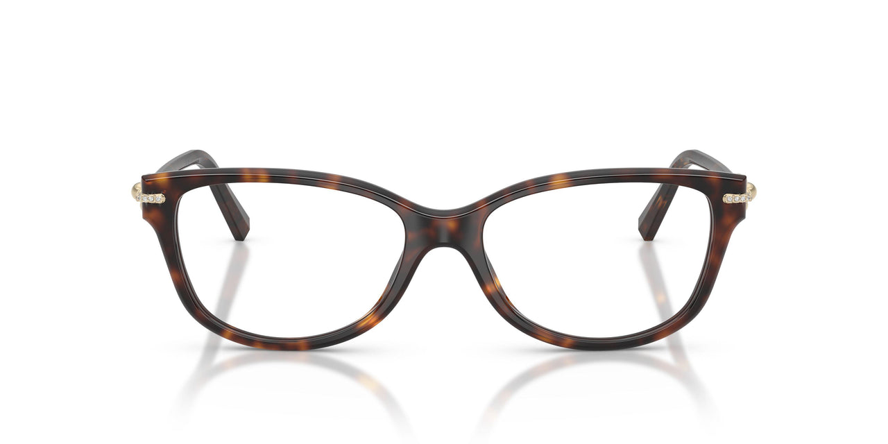 8015 - Tortoise