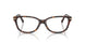 8015 - Tortoise