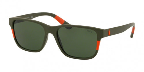 Polo 4137 Sunglasses