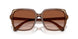 106713 - Brown - Gradient Brown