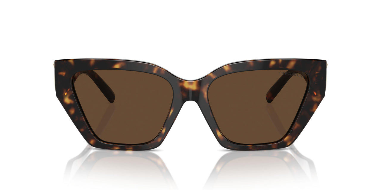 80153G - Tortoise - Light Brown
